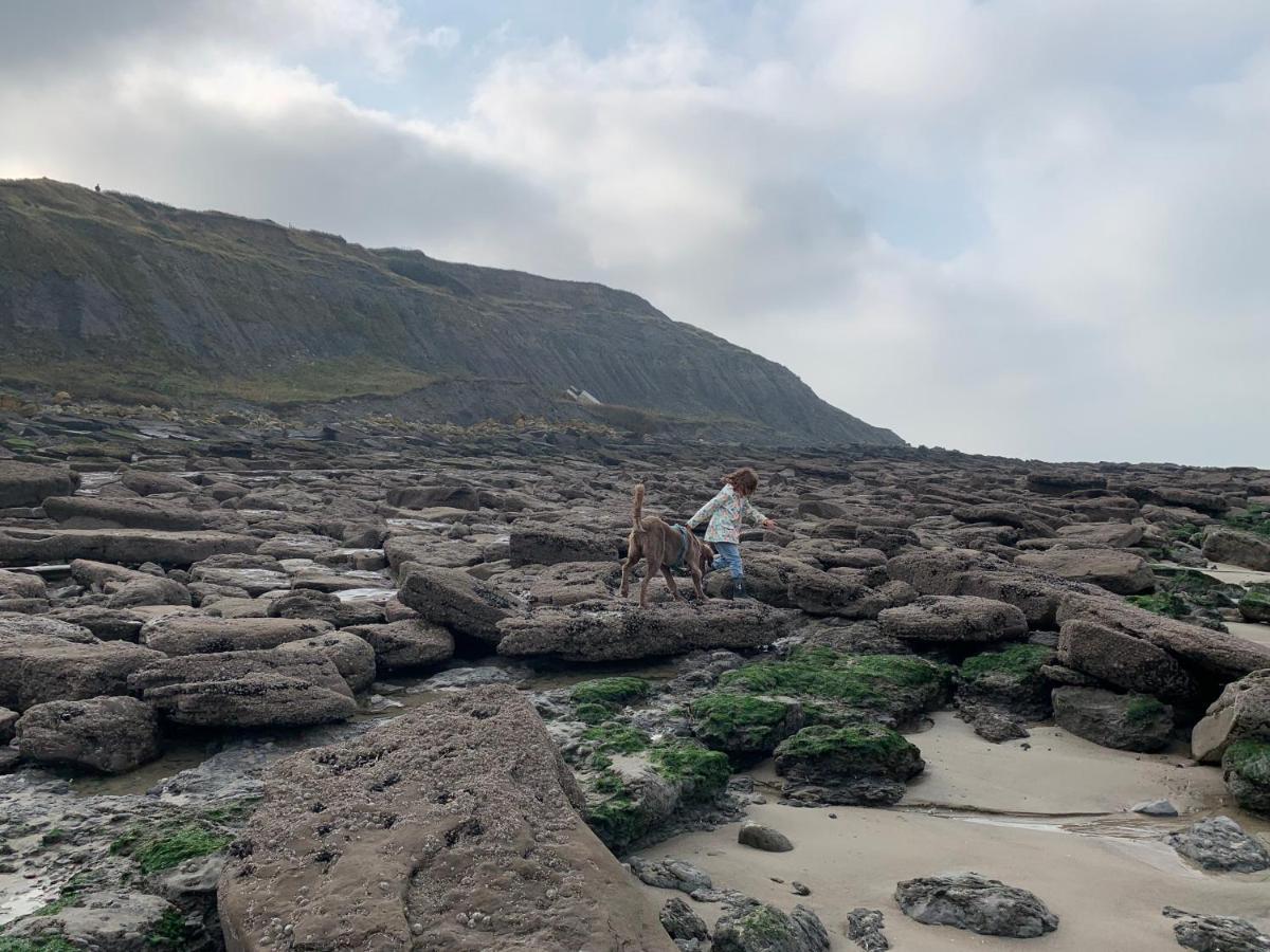 Fl'Heurt De Mer Appartement Au Pied De La Plage, Vue Mer Le Portel Exteriör bild